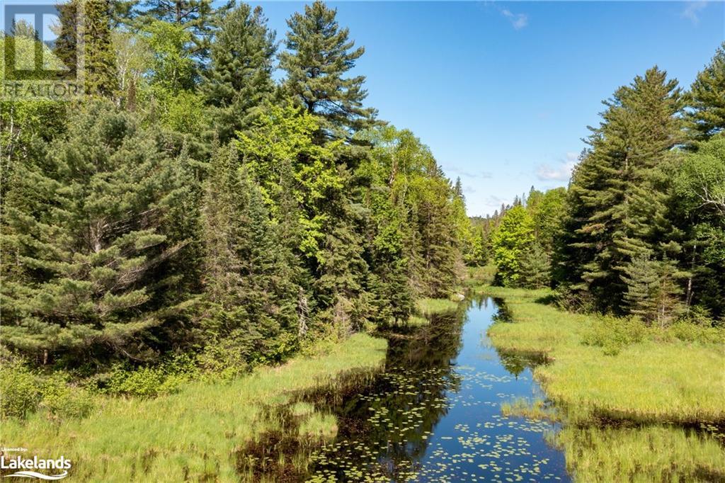 30 Joes Road, Whitestone, Ontario  P0A 1G0 - Photo 27 - 40608807