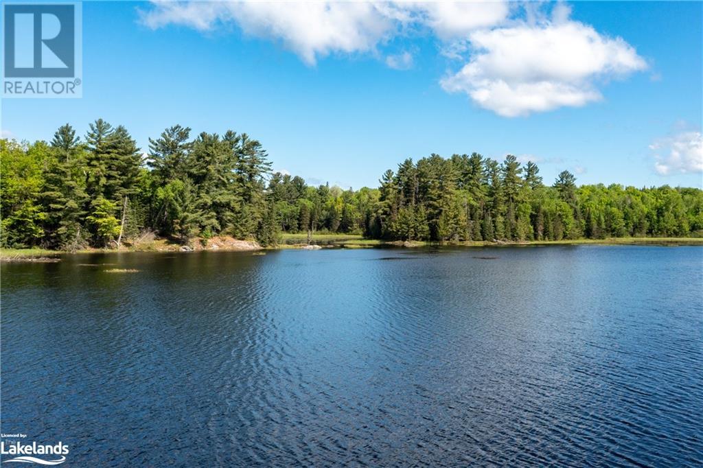 30 Joes Road, Whitestone, Ontario  P0A 1G0 - Photo 3 - 40608807