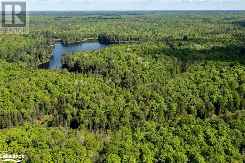 30 Joes Road, Whitestone, Ontario  P0A 1G0 - Photo 30 - 40608807