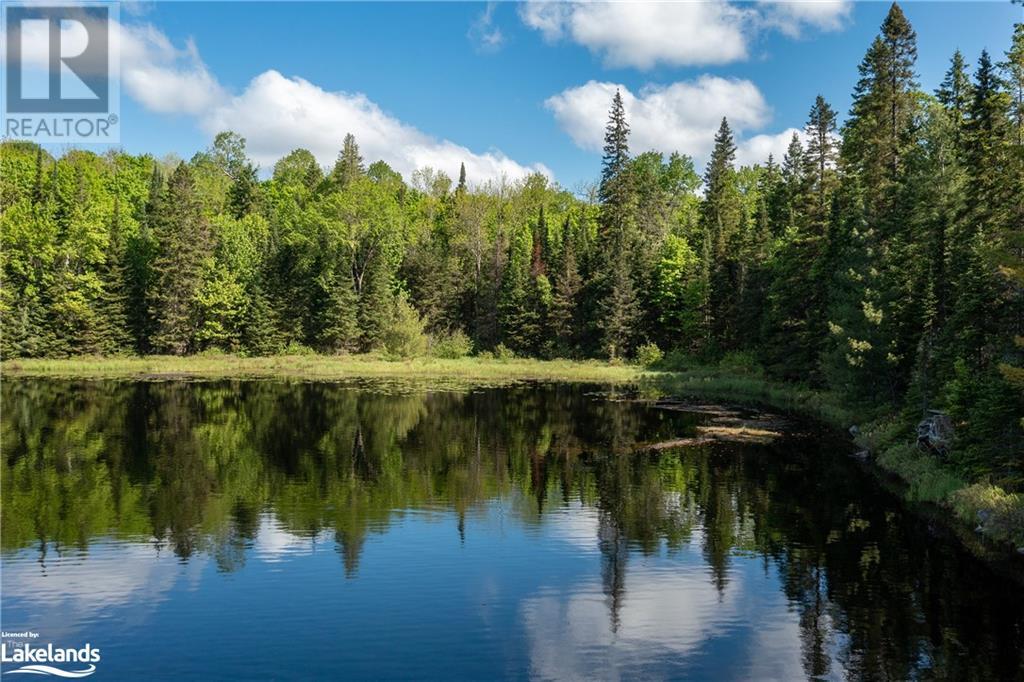 30 Joes Road, Whitestone, Ontario  P0A 1G0 - Photo 6 - 40608807