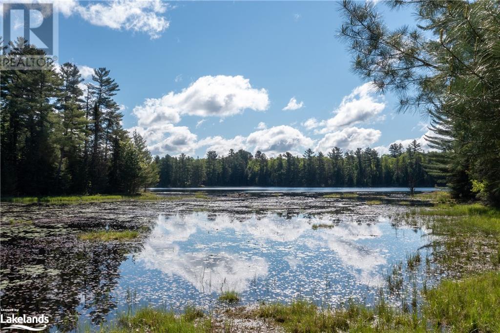 30 Joes Road, Whitestone, Ontario  P0A 1G0 - Photo 7 - 40608807