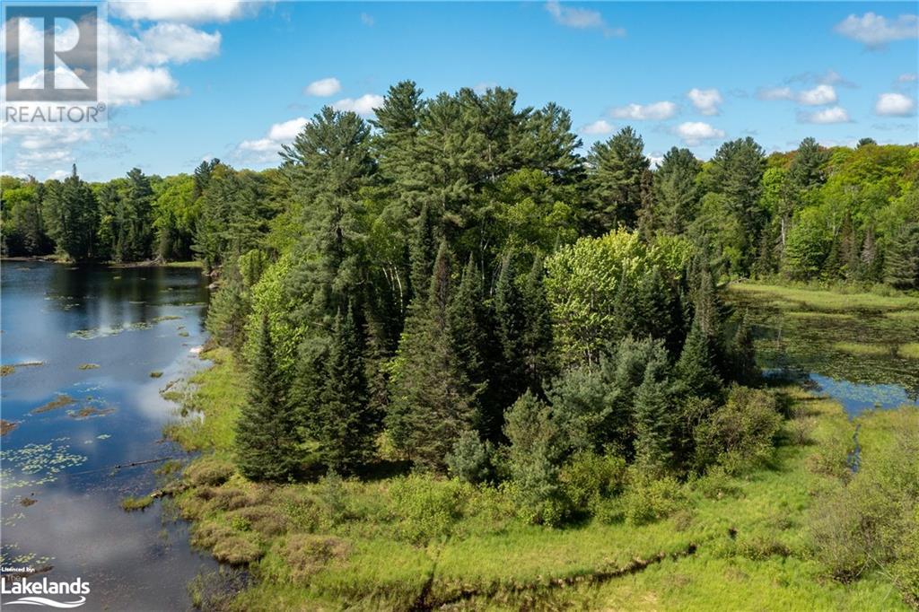 30 Joes Road, Whitestone, Ontario  P0A 1G0 - Photo 8 - 40608807