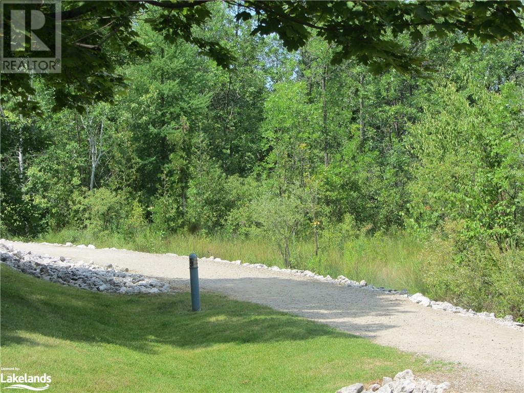 793 Johnston Park Avenue, Collingwood, Ontario  L9Y 5C4 - Photo 22 - 40609322