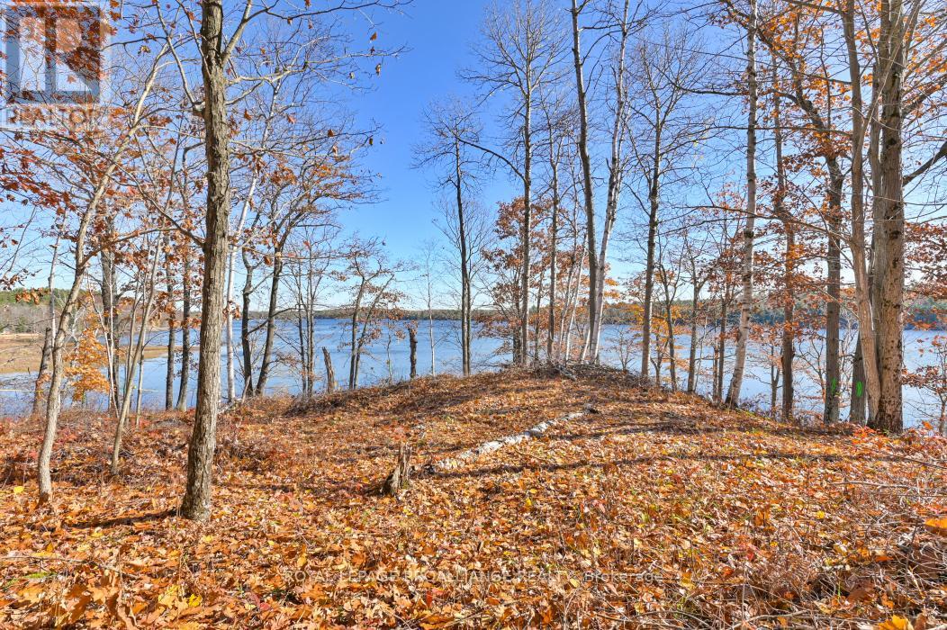 0 Kennebec Lake Lane, Central Frontenac, Ontario  K0H 1B0 - Photo 30 - X8147802