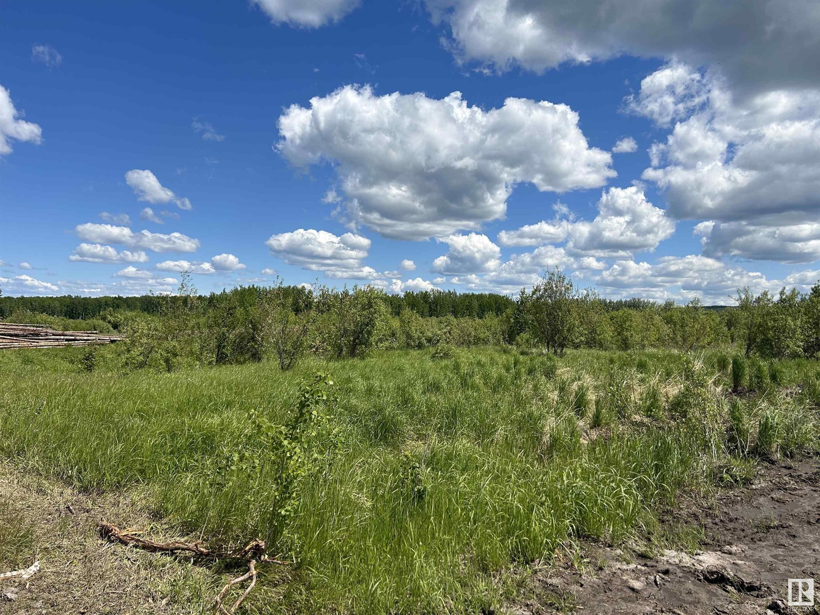 19564 Twp Rd 604a, Rural Athabasca County, Alberta  T0A 0M0 - Photo 5 - E4393619