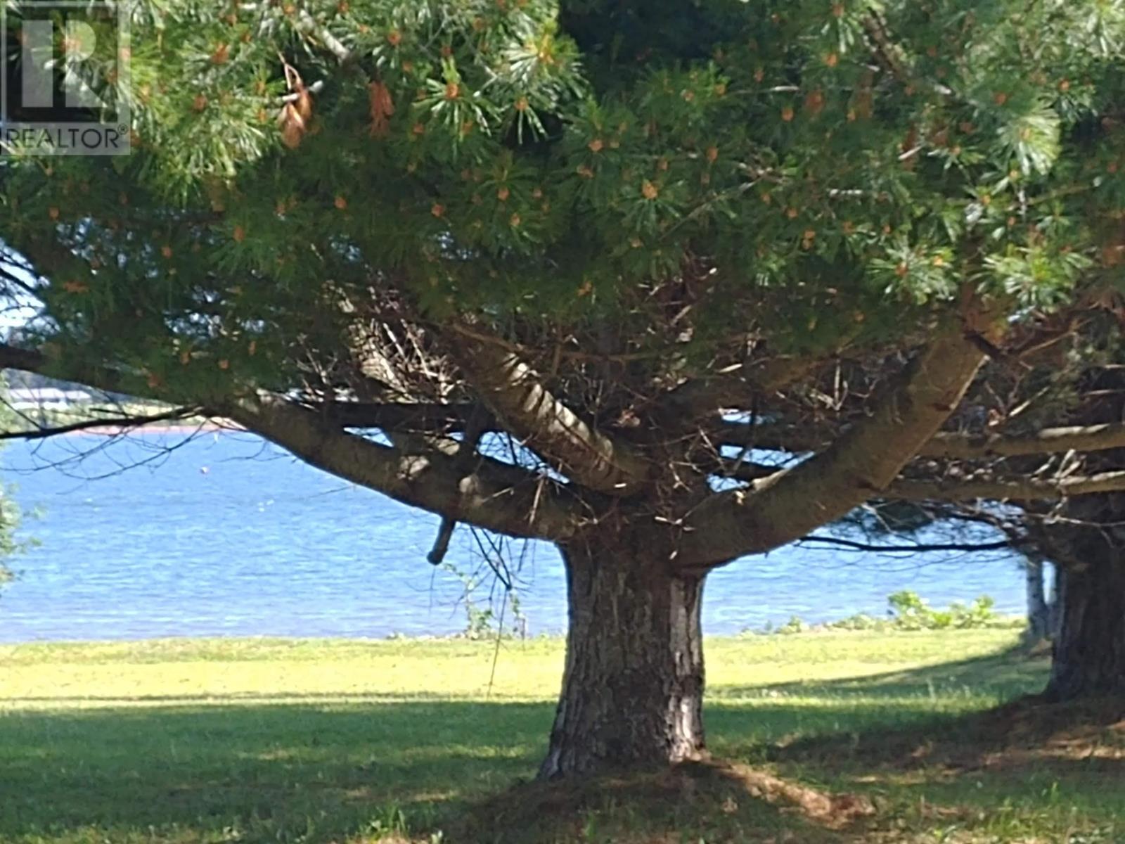Lorem Ipsum Dolor Sit, Georgetown Royalty, Prince Edward Island  C0A  - Photo 12 - DEMO27073949
