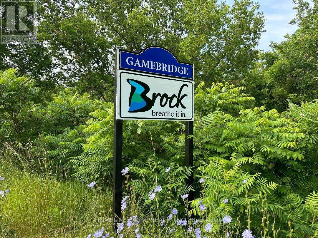 33996 Regional Rd 50, Brock, Ontario  L0K 1A0 - Photo 6 - N8465024