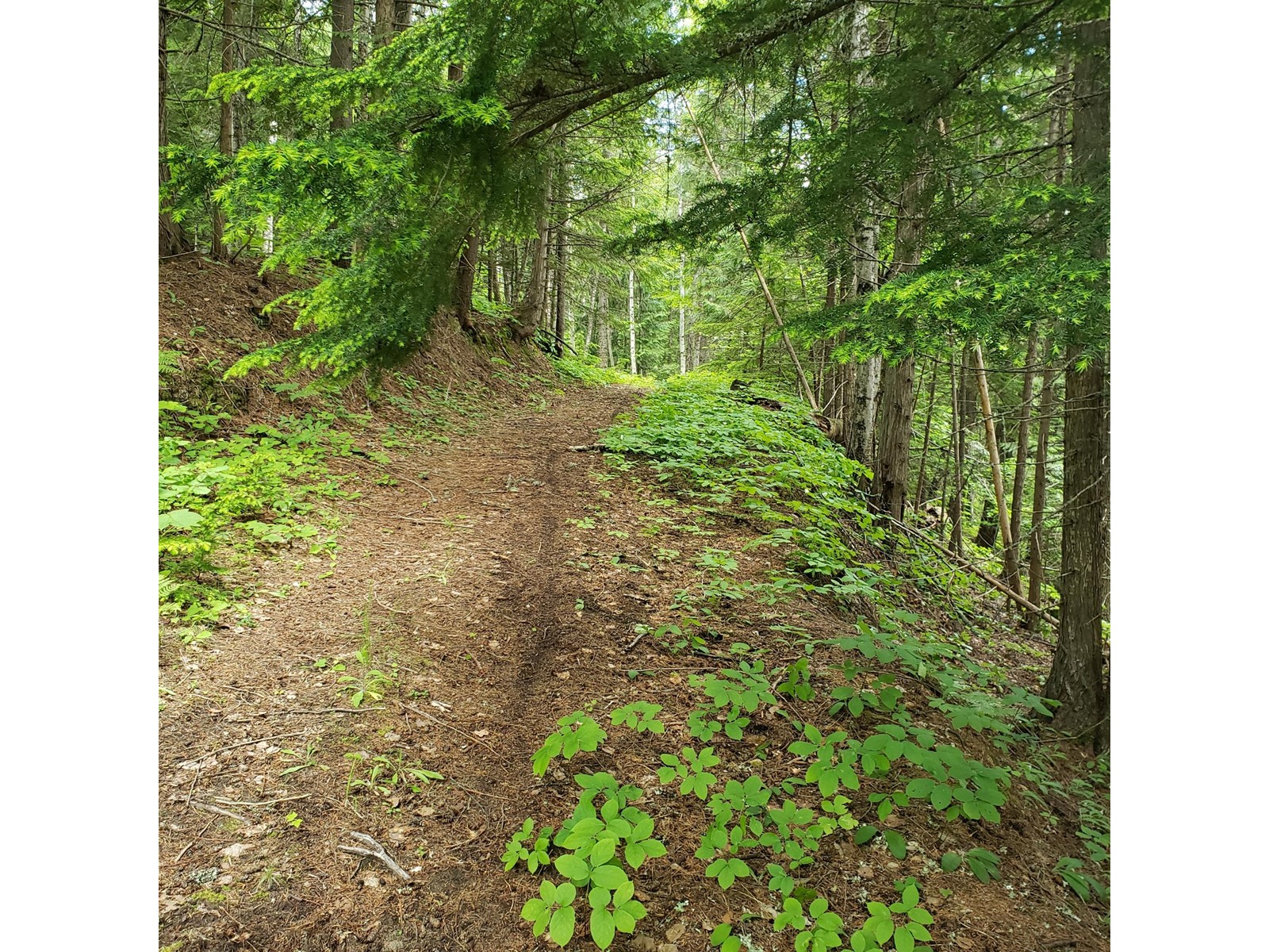 2660 Shoreacres-Goose Creek Road, Shoreacres, British Columbia  V1N 4P4 - Photo 57 - 2477518