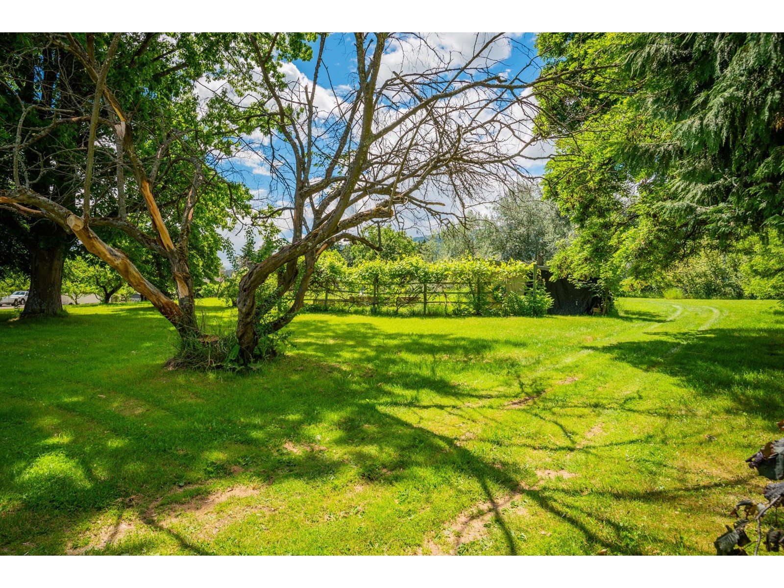 1912 Makayev Road, Castlegar, British Columbia  V1N 4K3 - Photo 52 - 2477825