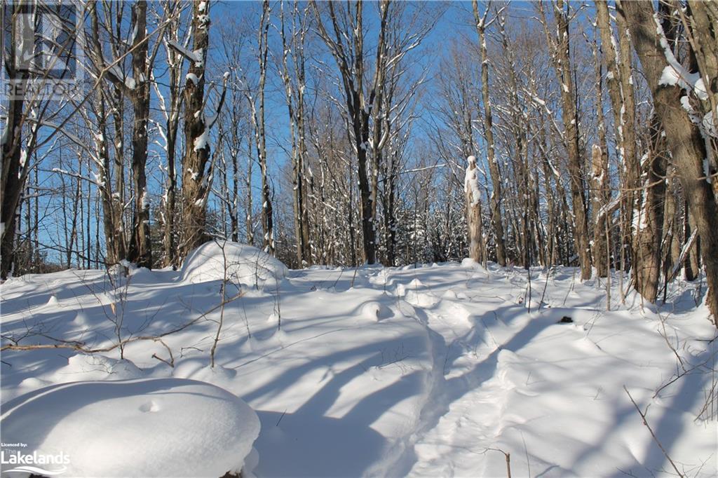 1888 Falkenburg Road, Muskoka Lakes, Ontario  P1L 1X4 - Photo 39 - 40593168