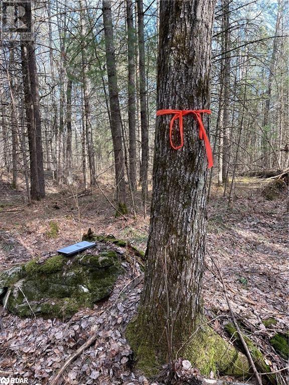 0 Fire Route 34, North Kawartha Twp, Ontario  K0L 1A0 - Photo 3 - 40610082