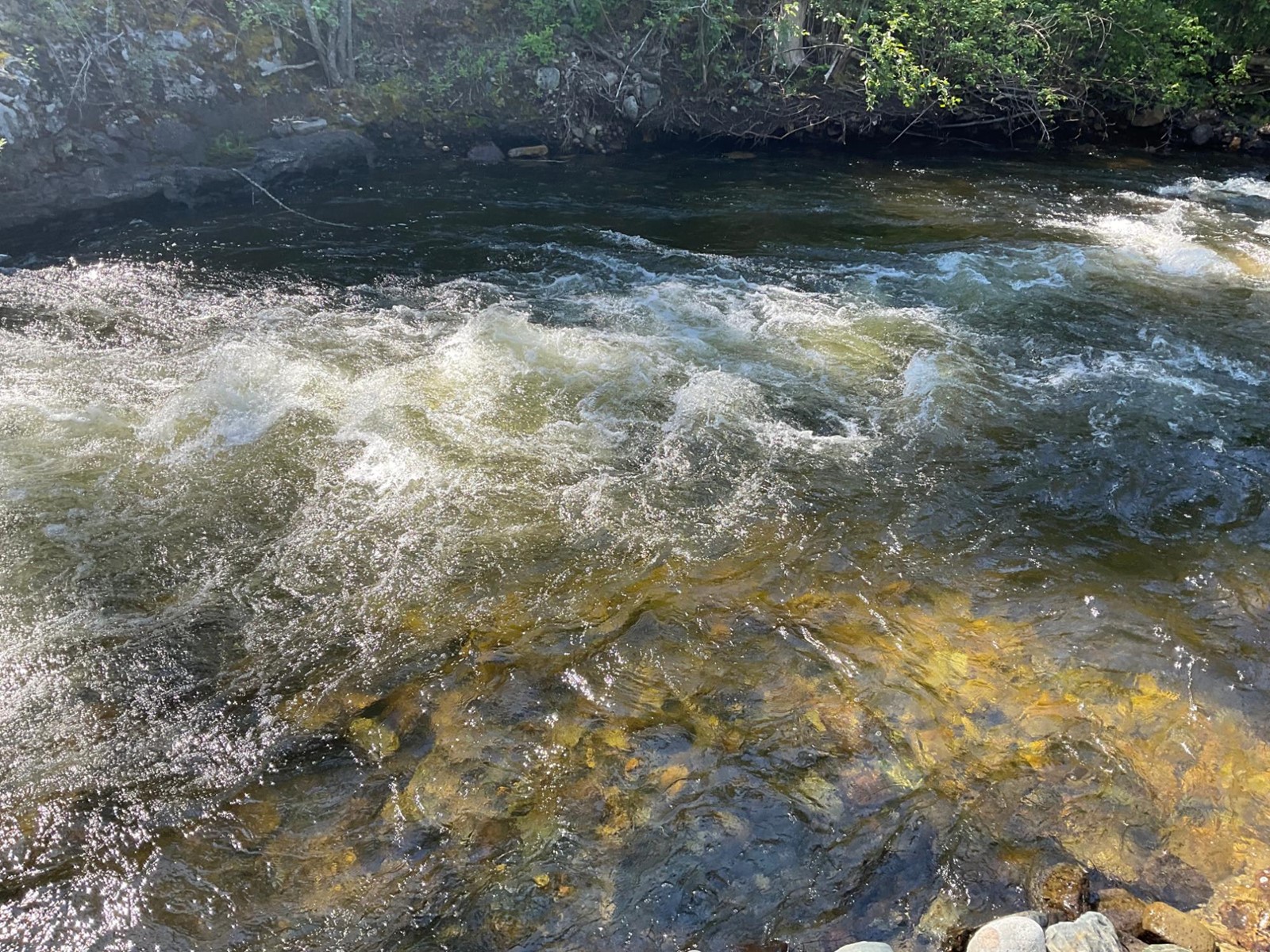 1920 Highway 3, Midway, British Columbia  V0H 1M0 - Photo 15 - 2477904