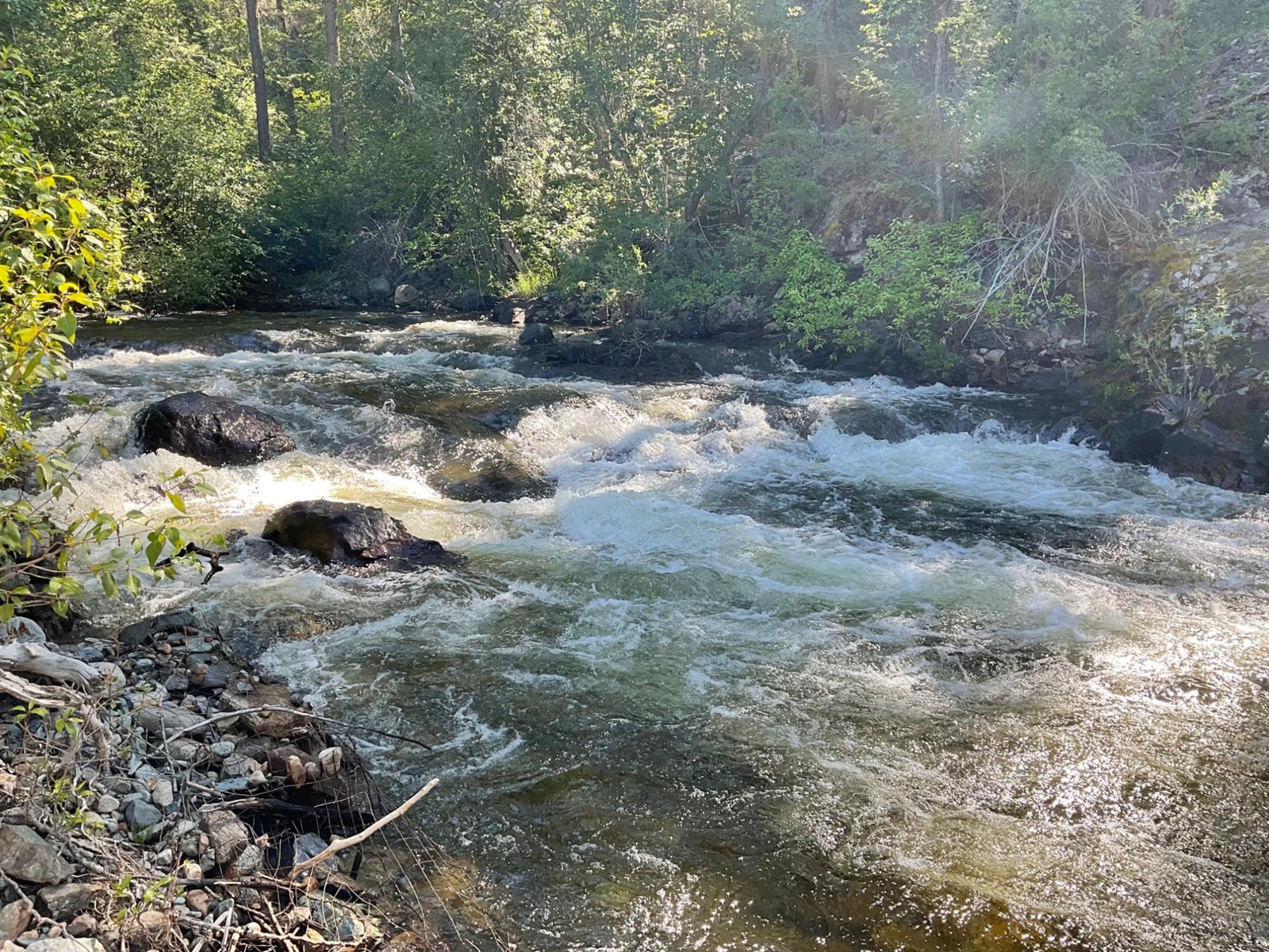 1920 Highway 3, Midway, British Columbia  V0H 1M0 - Photo 16 - 2477904