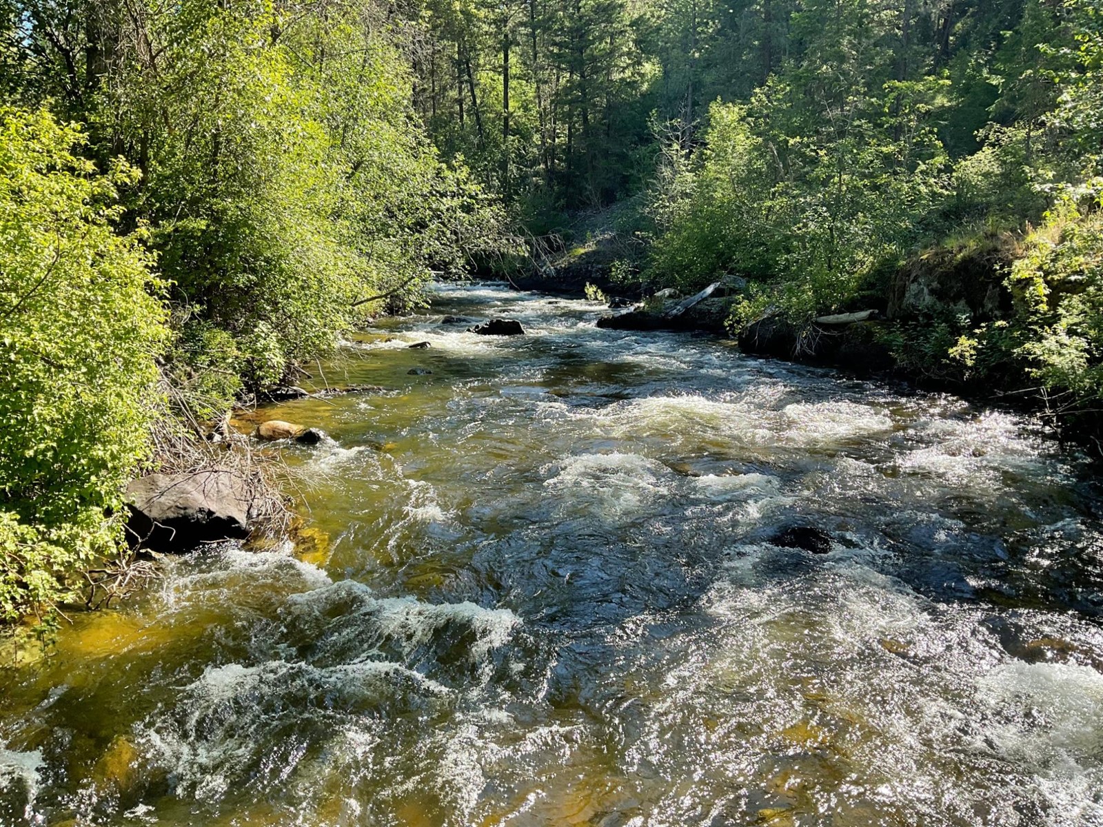 1920 Highway 3, Midway, British Columbia  V0H 1M0 - Photo 21 - 2477904