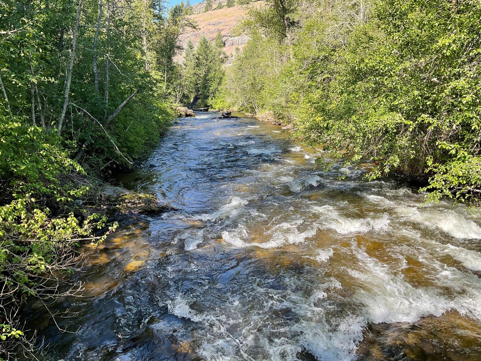 1920 Highway 3, Midway, British Columbia  V0H 1M0 - Photo 22 - 2477904