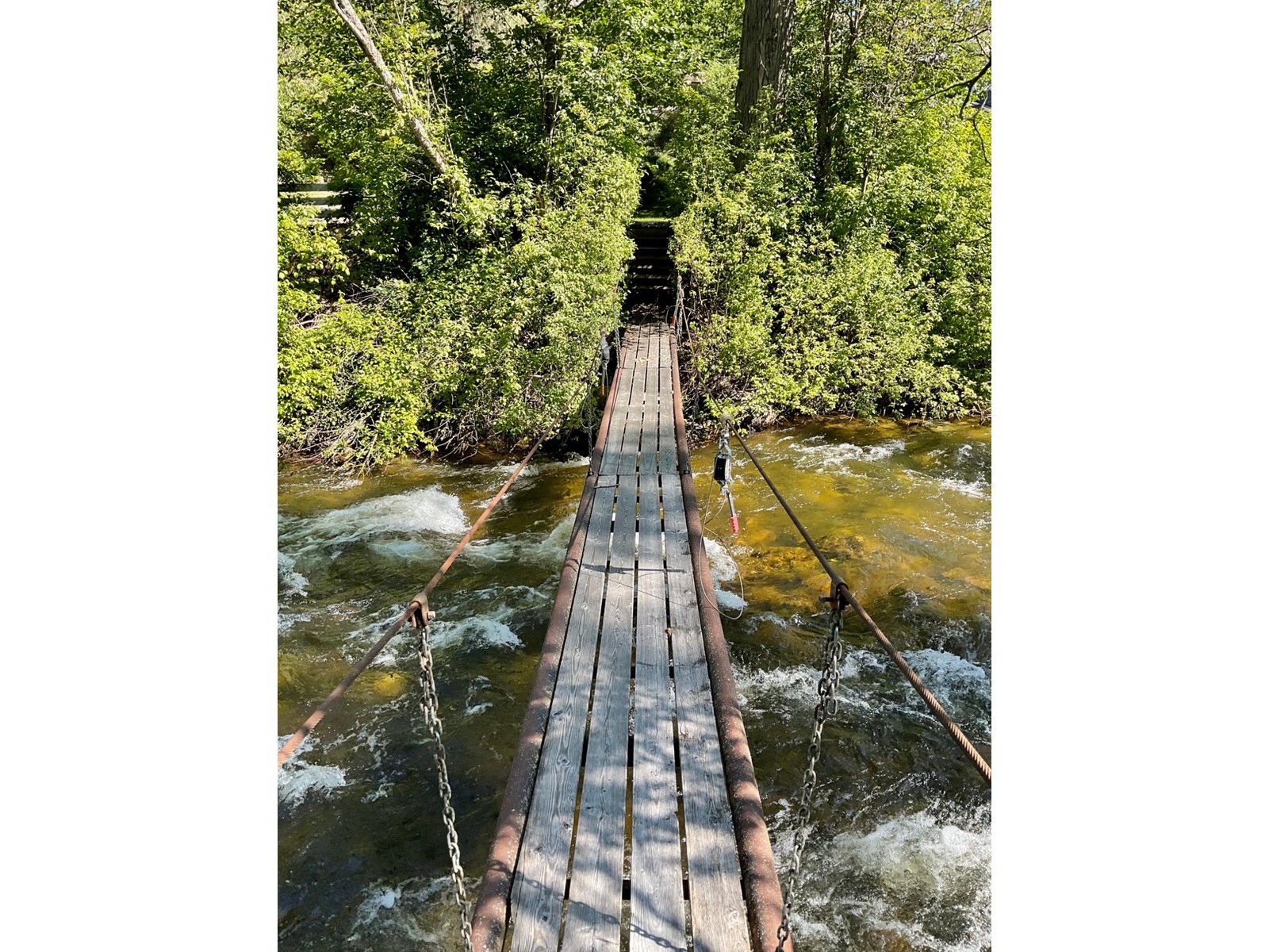 1920 Highway 3, Midway, British Columbia  V0H 1M0 - Photo 23 - 2477904