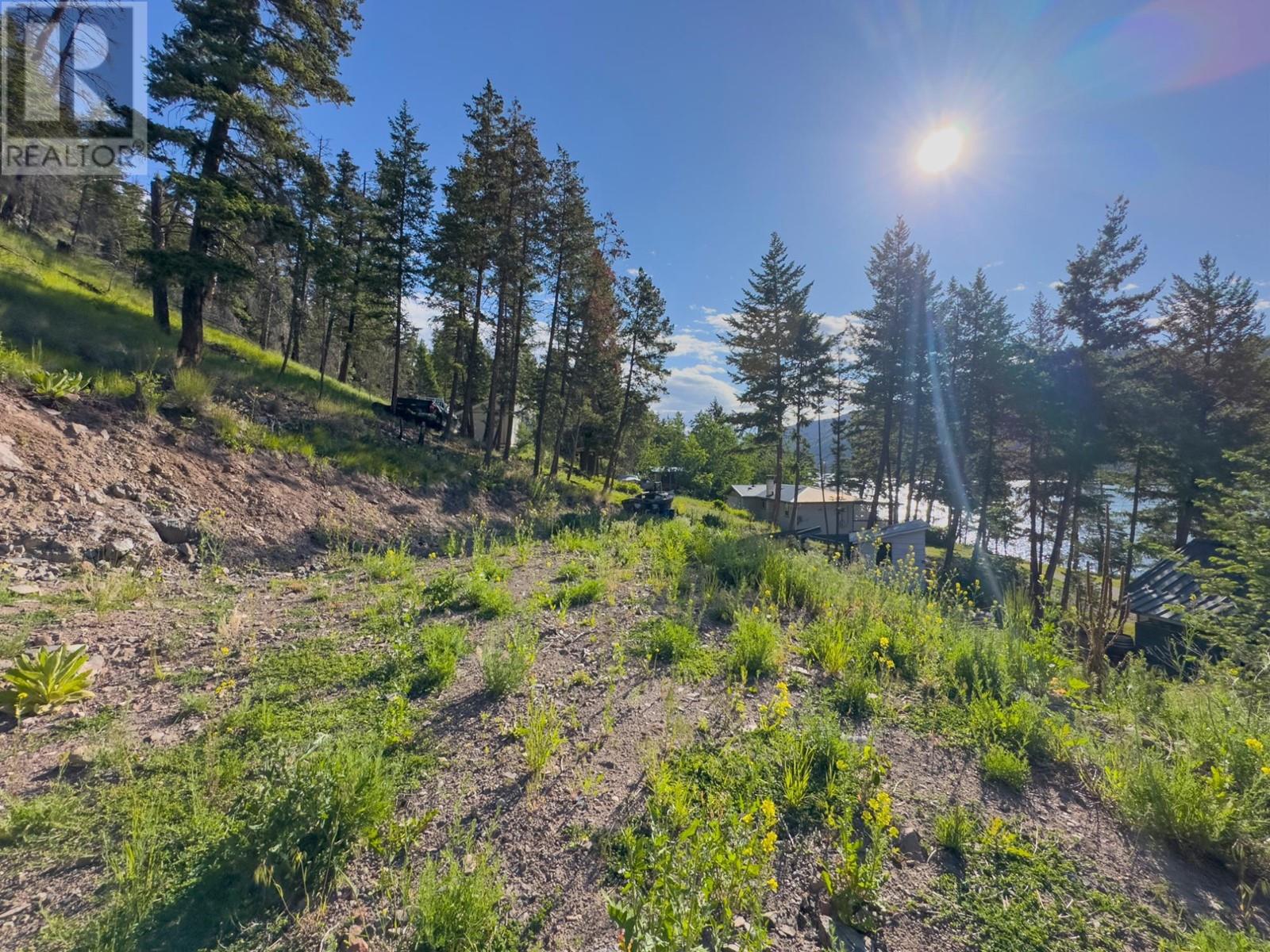 2373 Loon Lake Rd, Loon Lake, British Columbia    - Photo 28 - 179408