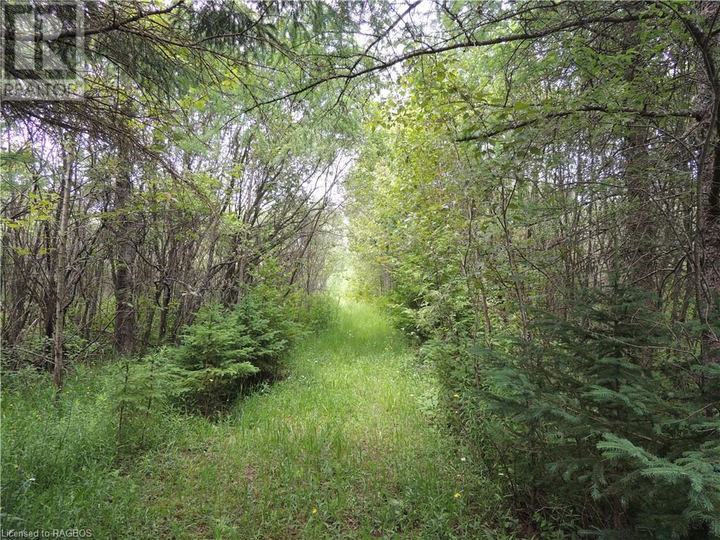 620420 Robson Road, Chatsworth (Twp), Ontario  N0H 1R0 - Photo 6 - 40610288