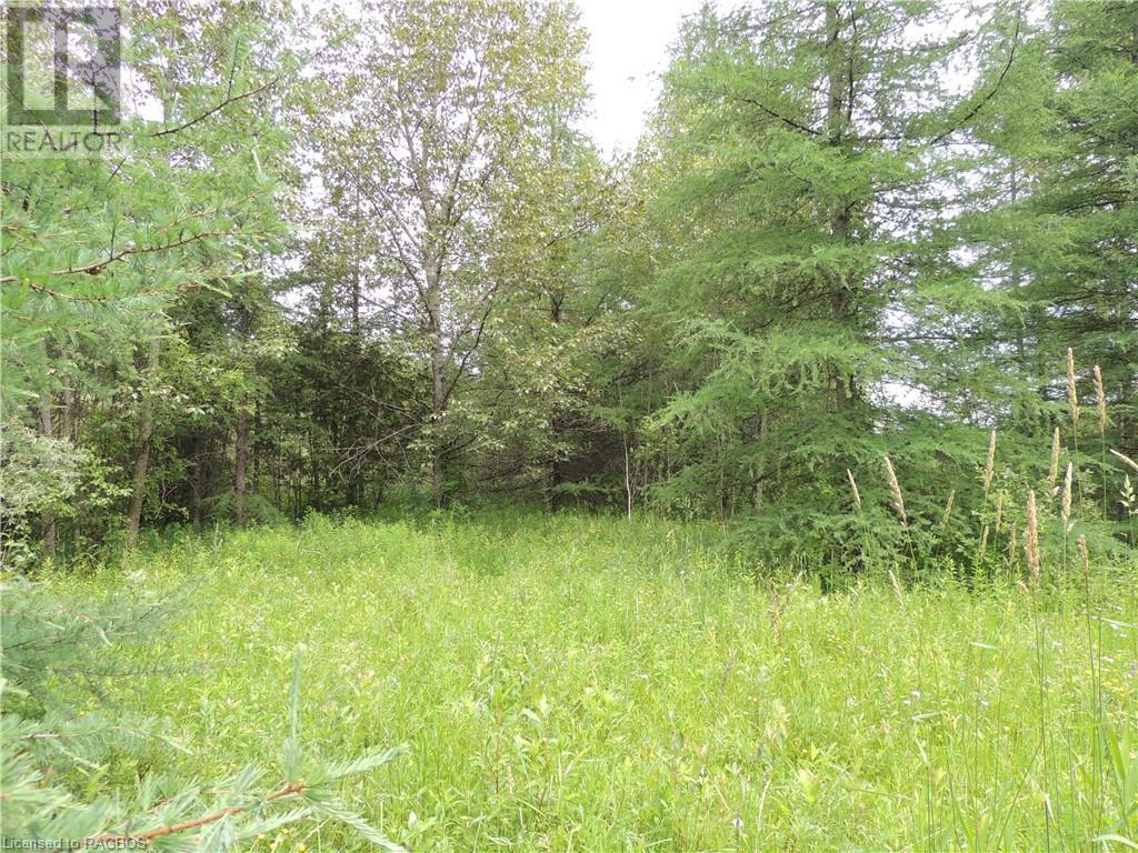 620420 Robson Road, Chatsworth (Twp), Ontario  N0H 1R0 - Photo 7 - 40610288