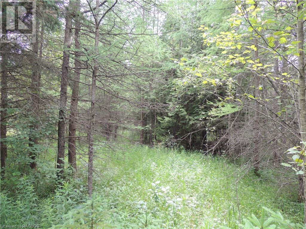 620420 Robson Road, Chatsworth (Twp), Ontario  N0H 1R0 - Photo 8 - 40610288