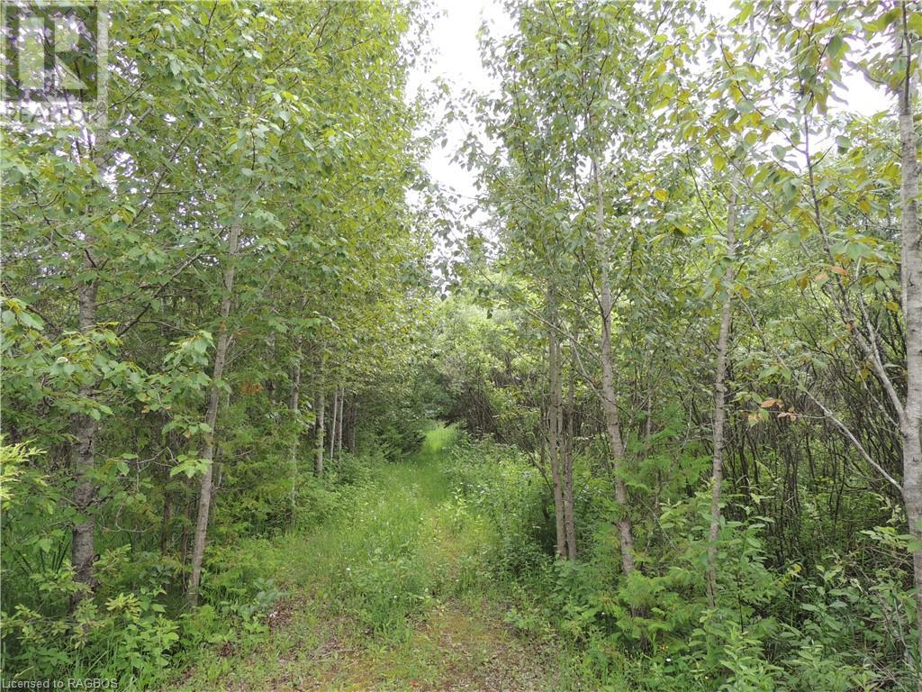 620420 Robson Road, Chatsworth (Twp), Ontario  N0H 1R0 - Photo 9 - 40610288