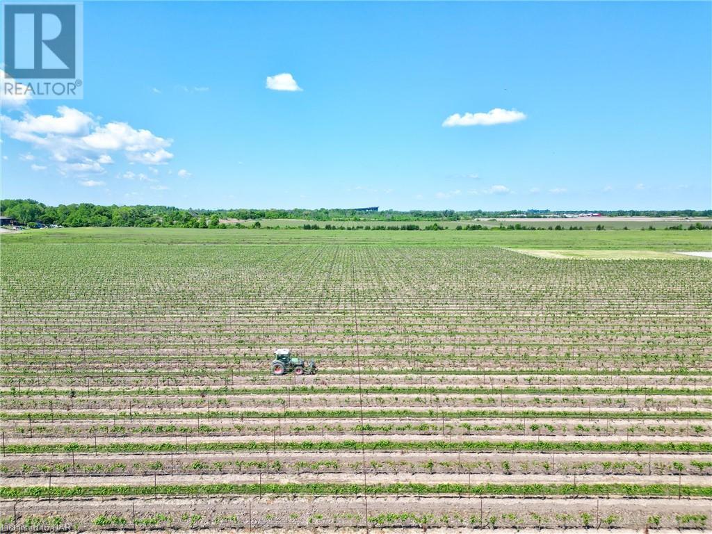 N/a Airport Road, Niagara-On-The-Lake, Ontario  L0S 1J0 - Photo 9 - 40609752