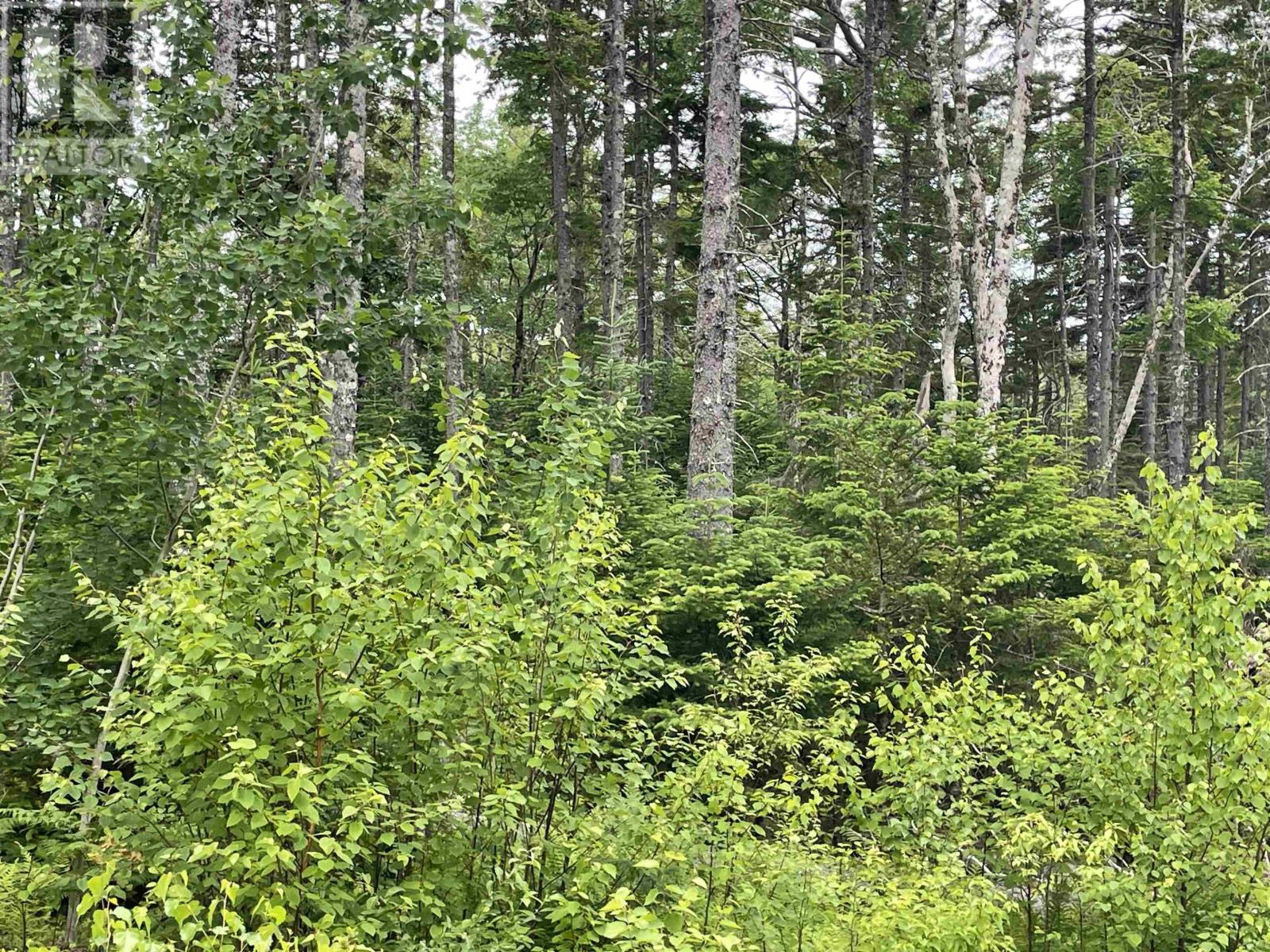 16 East Point Lane, East Uniacke, Nova Scotia  B0J 1Z0 - Photo 13 - 202414730