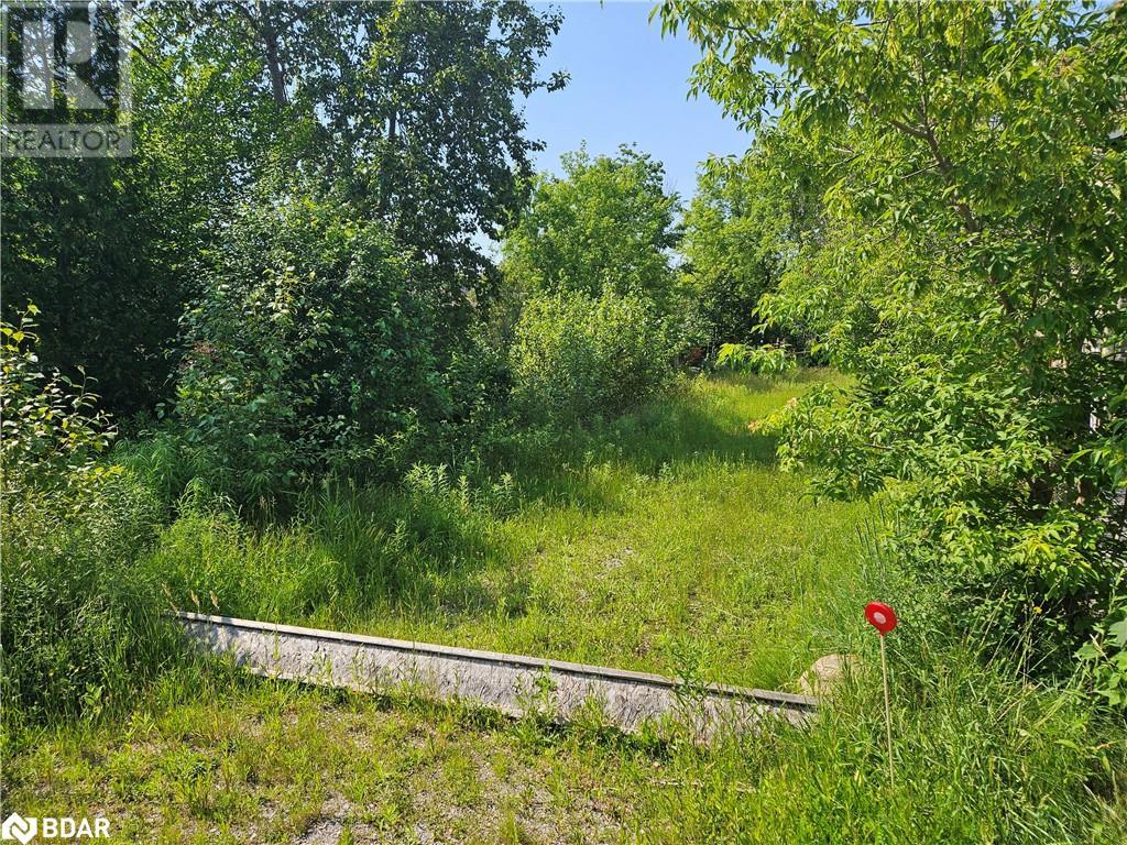 732 CHESTNUT Street, innisfil, Ontario