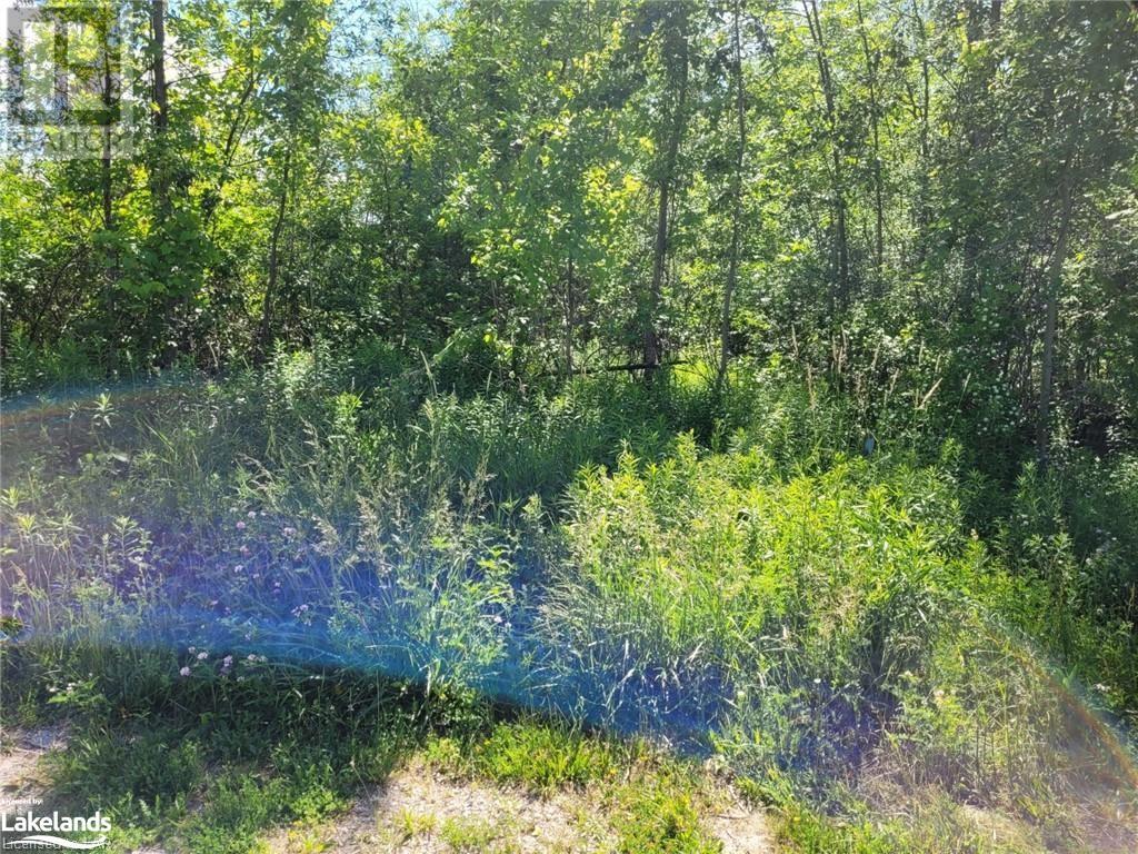 11325 26 Highway, Collingwood, Ontario  L8Y 5H8 - Photo 1 - 40610204