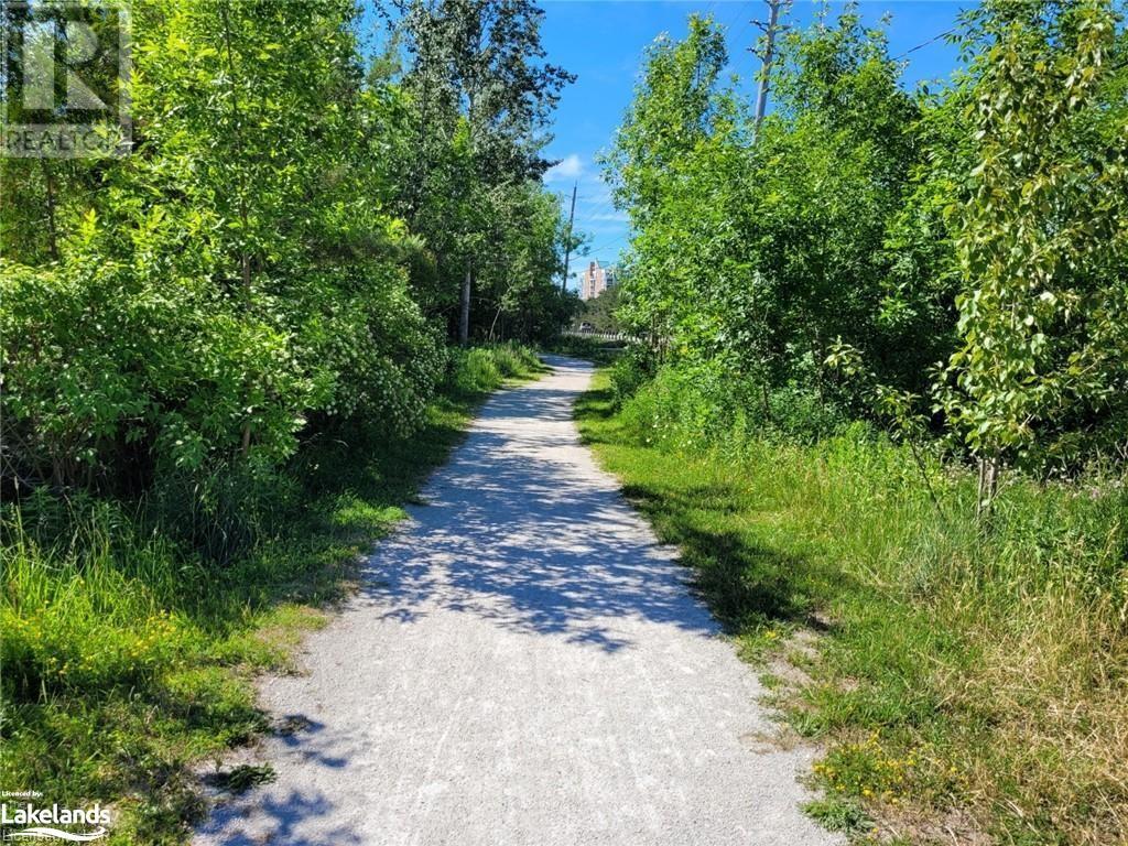 11325 26 Highway, Collingwood, Ontario  L8Y 5H8 - Photo 4 - 40610204