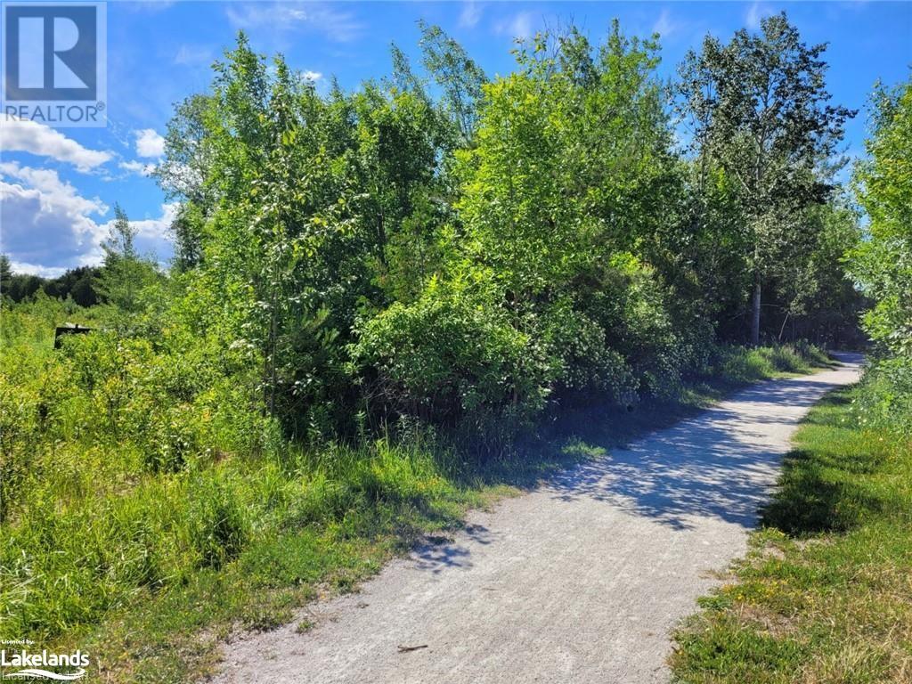 11325 26 Highway, Collingwood, Ontario  L8Y 5H8 - Photo 6 - 40610204