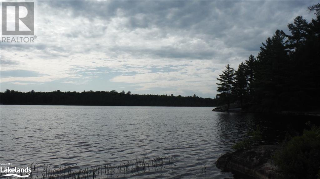 3301c Axe Lake Road, Sprucedale, Ontario  P0A 1Y0 - Photo 13 - 40603061