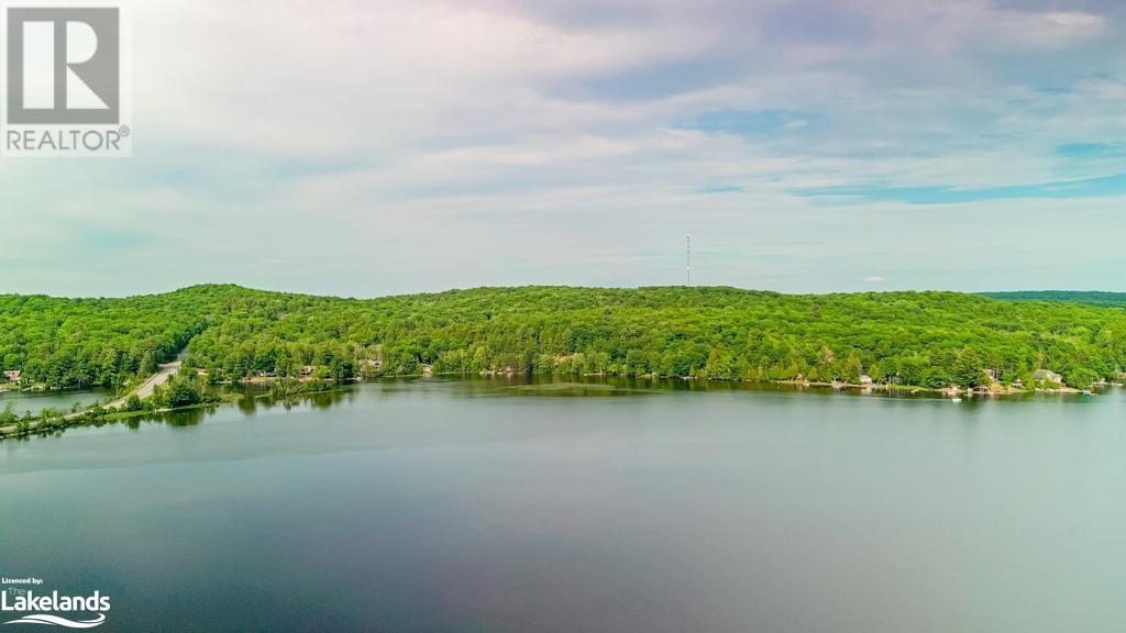 1015 Blackberry Lane, Minden, Ontario  K0M 2K0 - Photo 33 - 40610444