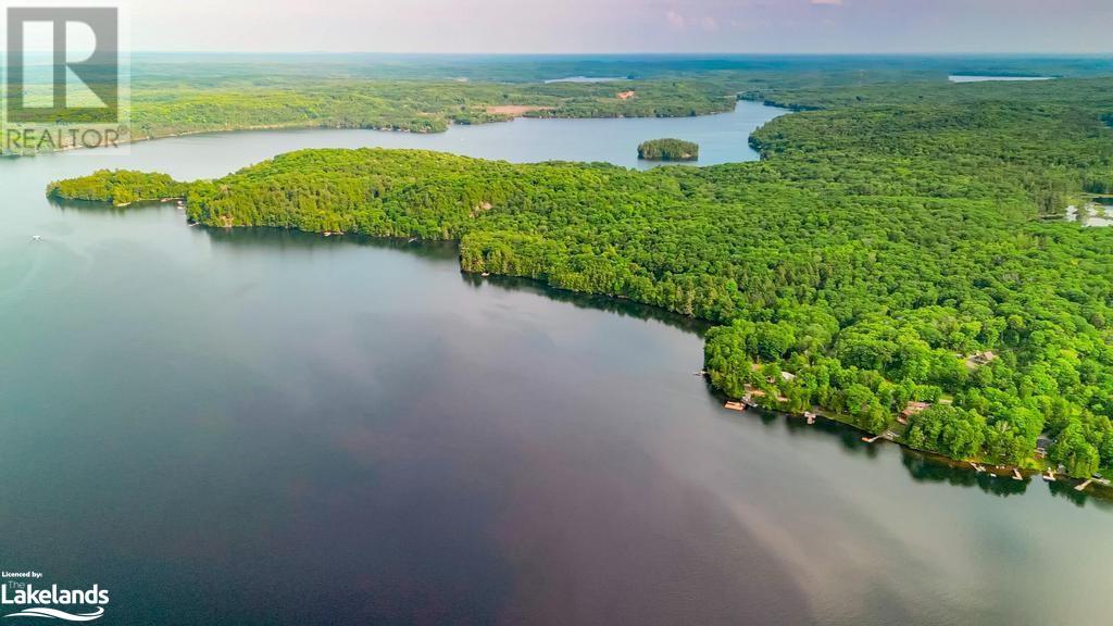 1015 Blackberry Lane, Minden, Ontario  K0M 2K0 - Photo 39 - 40610444