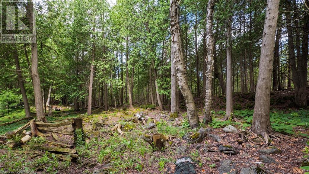 609 Stokes Bay Road, Northern Bruce Peninsula, Ontario  N0H 2M0 - Photo 24 - 40610557