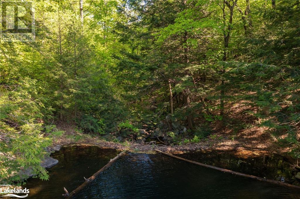 Lot 5&6 Mcgee Lake, Seguin, Ontario  P2A 2W8 - Photo 14 - 40609947