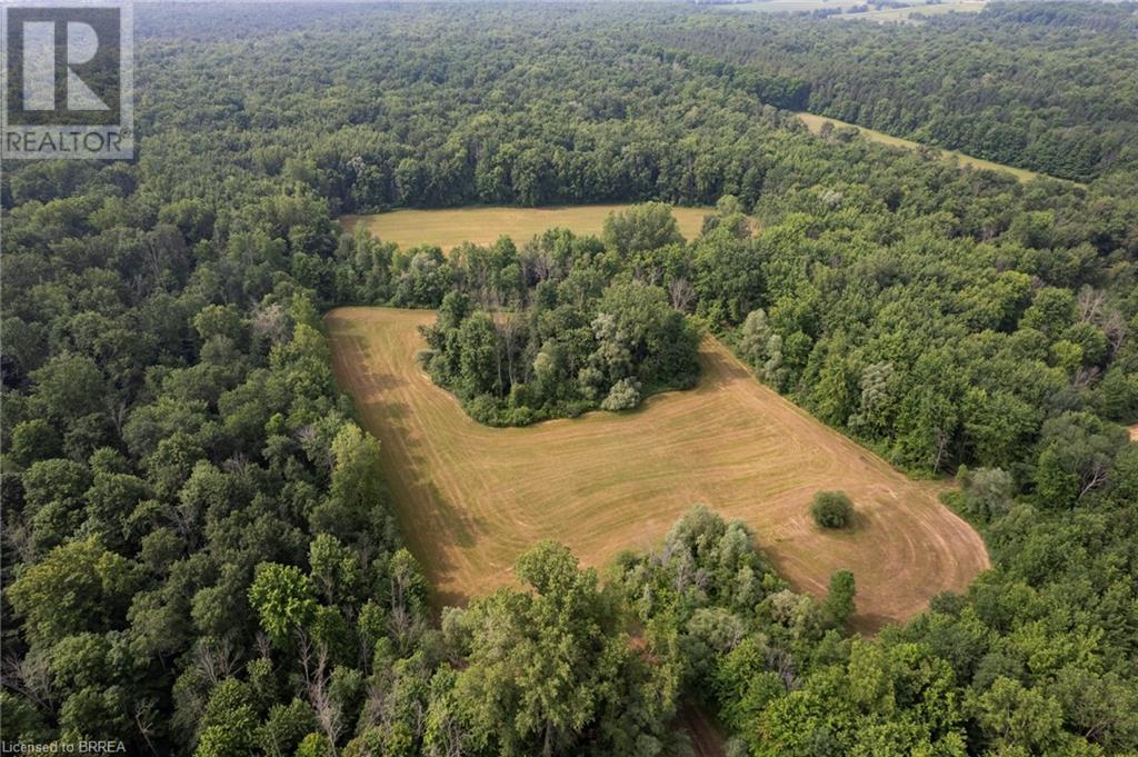 41 Seventh Conc Road, Burford, Ontario  N0E 1A0 - Photo 3 - 40610734