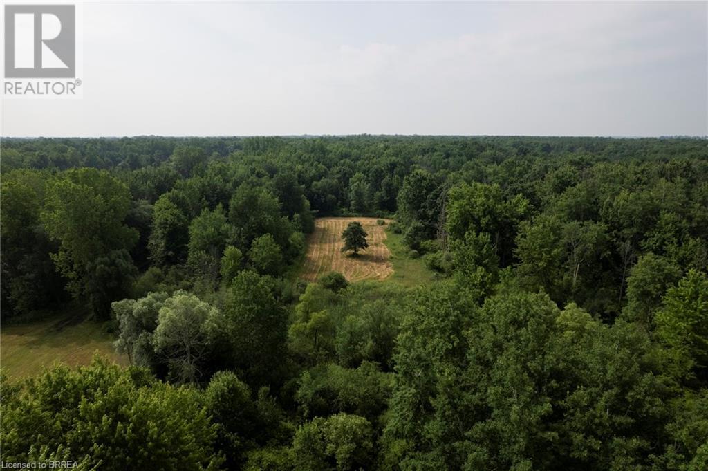 41 Seventh Conc Road, Burford, Ontario  N0E 1A0 - Photo 8 - 40610734