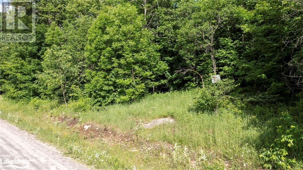 Lot 29 Farleys Road, Whitestone, Ontario  P0A 1G0 - Photo 3 - 40610745