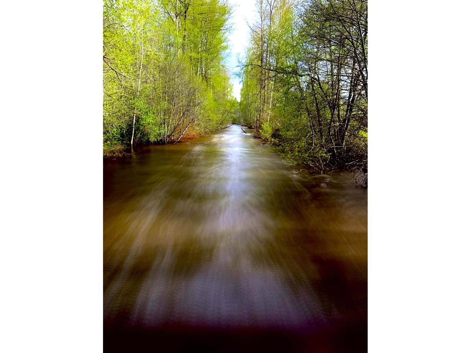 25 - 321 Copper Avenue N, Greenwood, British Columbia  V0H 1J0 - Photo 10 - 2477925