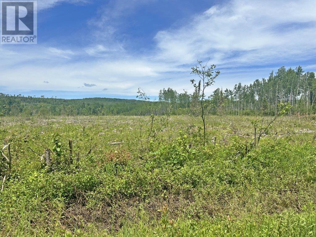 Part 1 Larson Road, Neebing, Ontario  P7L 0A4 - Photo 15 - TB241907