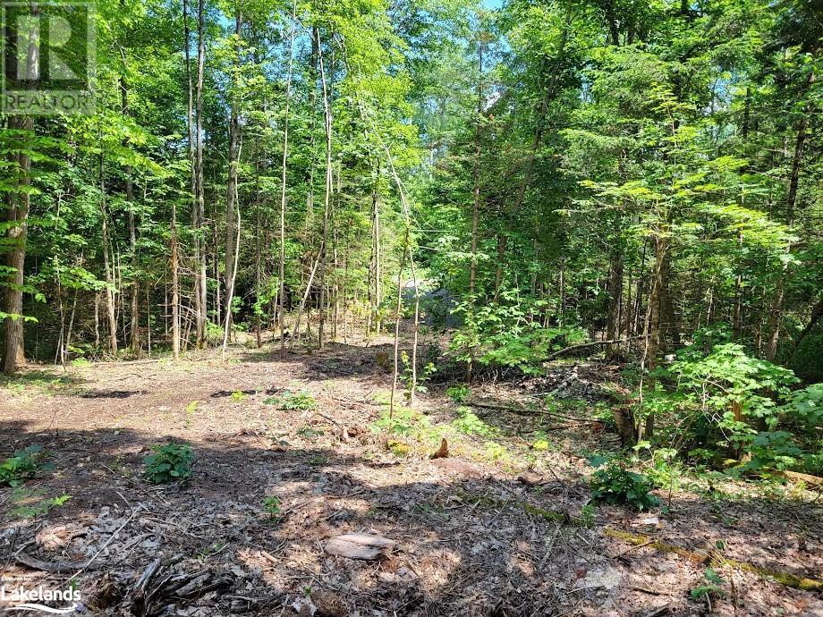 Lot 4 Fairy Falls Road, Lake Of Bays (Mclean), Ontario  P0B 1A0 - Photo 7 - X10437003