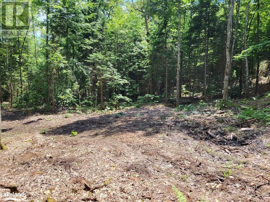 Lot 4 Fairy Falls Road, Lake Of Bays (Mclean), Ontario  P0B 1A0 - Photo 8 - X10437003