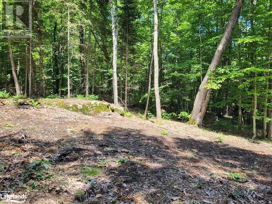 Lot 4 Fairy Falls Road, Lake Of Bays (Mclean), Ontario  P0B 1A0 - Photo 6 - X10437003