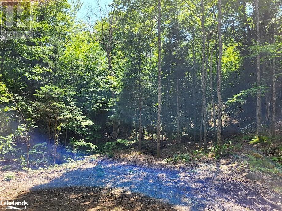 Lot 4 Fairy Falls Road, Lake Of Bays (Mclean), Ontario  P0B 1A0 - Photo 9 - X10437003