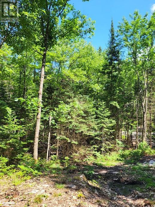 Lot 5 Fairy Falls Road, Lake Of Bays (Mclean), Ontario  P0B 1A0 - Photo 13 - X10436952