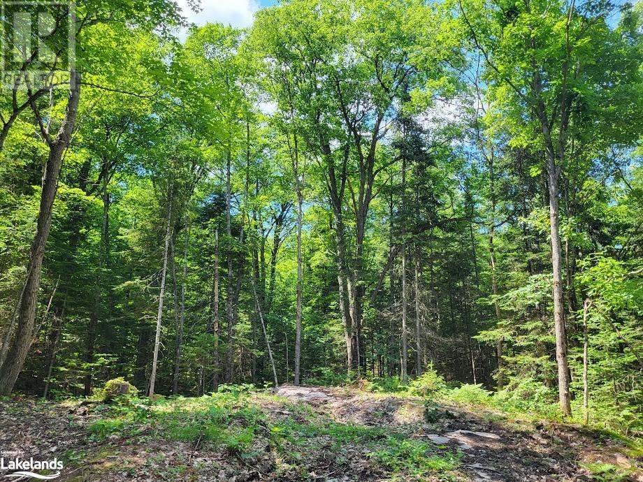 Lot 5 Fairy Falls Road, Lake Of Bays (Mclean), Ontario  P0B 1A0 - Photo 8 - X10436952