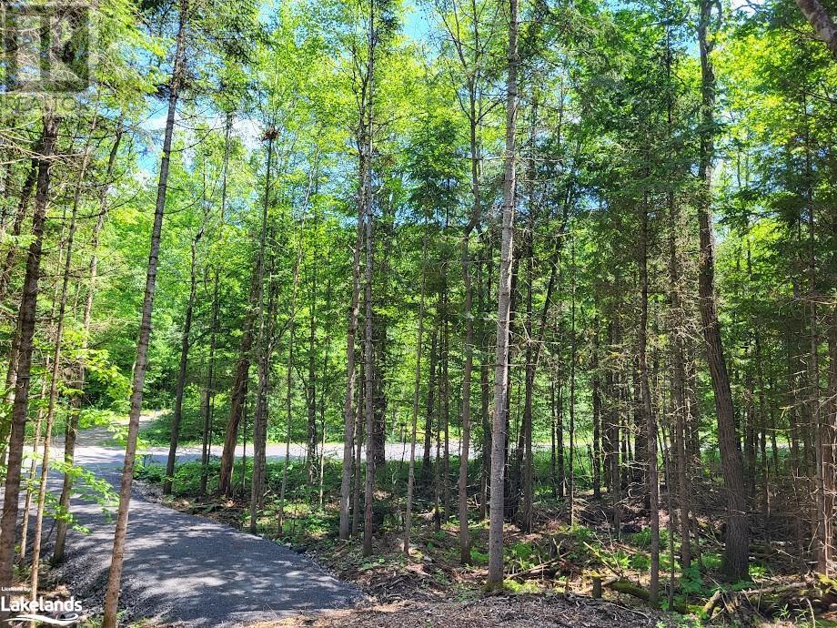 Lot 5 Fairy Falls Road, Lake Of Bays (Mclean), Ontario  P0B 1A0 - Photo 7 - X10436952