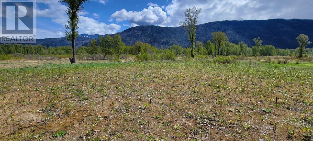 3418 Roundtop Road, Little Fort, British Columbia   - Photo 8 - 179438