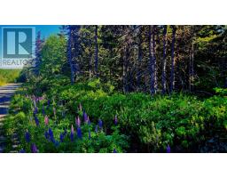11 Yetmans Lane, eastport, Newfoundland & Labrador